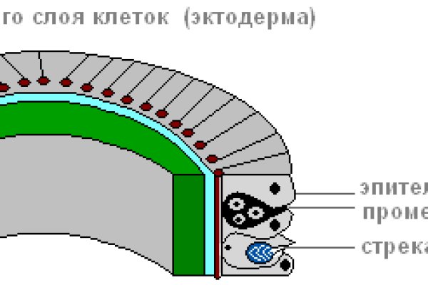 Кракен перестал работать